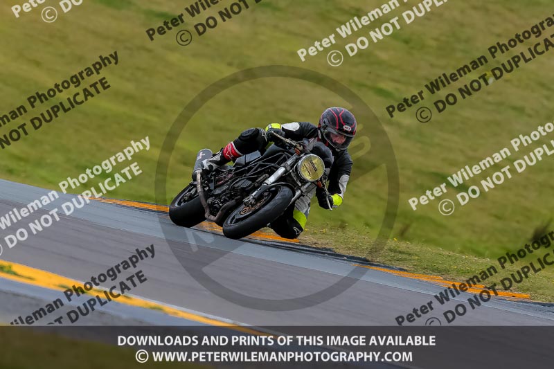 PJ Motorsport 2019;anglesey no limits trackday;anglesey photographs;anglesey trackday photographs;enduro digital images;event digital images;eventdigitalimages;no limits trackdays;peter wileman photography;racing digital images;trac mon;trackday digital images;trackday photos;ty croes